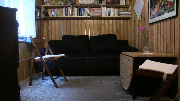 TinyHouseWagen Bild 2