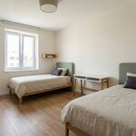 🧱 PottQuartier Bild 2