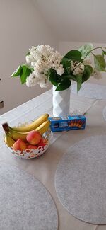 Unterkunft Zlobin Bild 4