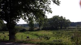 Blick in das Naturschutzgebiet