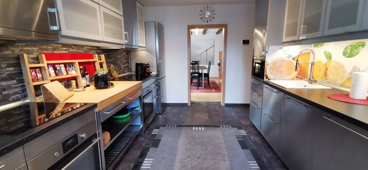 große Küche mit Blick ins Wohnzimmer