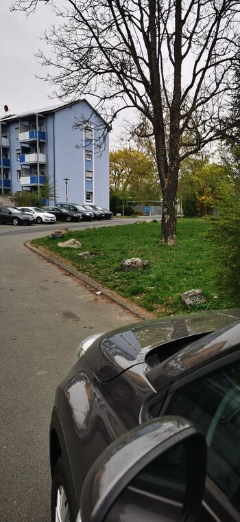 weitere Pakplätze - auch für größere Fahrzeuge