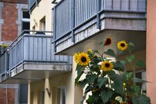 Wohnung Thein Bild 13