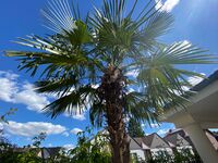 Wohnung Wilsmann Bild 9