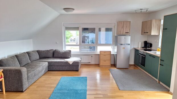1 Zimmer Apartment an der Elz