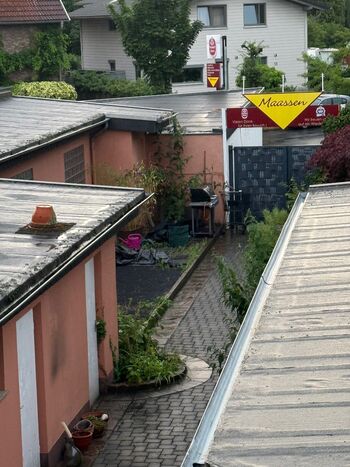 Haus M in Köln Sürth Bild 4