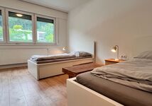 Frisch Renovierte 3-Zimmer-Wohnung mit Balkon Bild 6