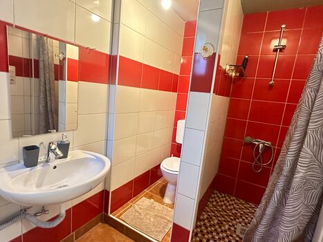 Appartement Schwanenstadt Bild 3