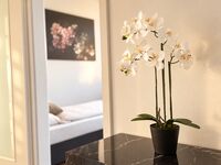 Apartmenthaus Eduardstraße Apolda (35 Betten) Bild 2