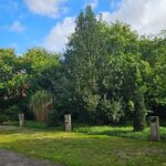 Ferienhof Zur Alten Molkerei Bild 7