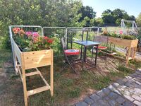 Unterkunft Havel-Biene Bild 8