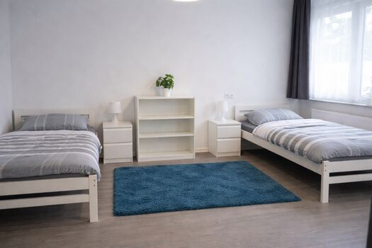 Gernsheim Monteurwohnung sehr sauber Bild 4