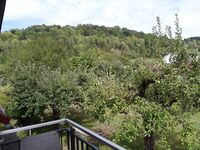 Ruhige Monteurwohnung mit Garten Bild 13
