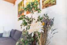 HomeRent in Apolda, Porstendorf und Umgebung Bild 12