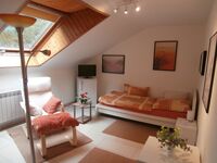Wohnung mit 4 Einzelzimmern in ruhiger Lage Bild 1