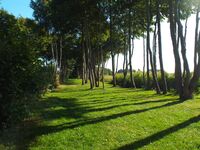 Fewo - Umgebung Ufer/See (50m)