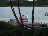 Fewo - Umgebung Ufer/See (50m)