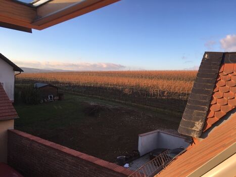 Ferienwohnung am Weinberg Zdjęcie 3