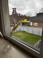 Nachbar des Weltkulturerbes Zeche Zollverein! GE1R Bild 11