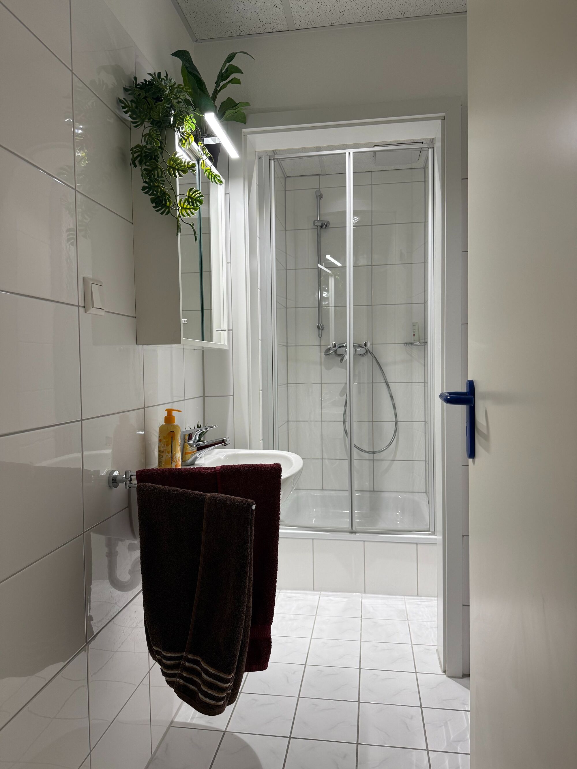 Dusche 1 separiert (Wohnung B)