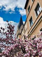 Möblierte Wohnungen BERNIUS in Leuna und Halle Zdjęcie 27