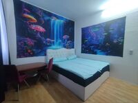 Peker Unterkunft Lif Bild 5