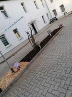 SeeTime ( ALL-INCLUSIV RENT ) Bild 10