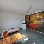 Haus mit 2 Wohnungen Bild 1