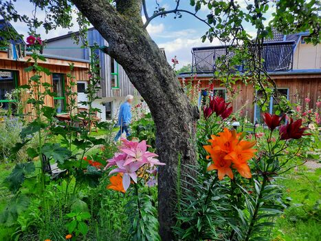 Sonne am Sund Bild 4