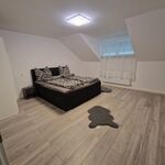 Wohnung Dillingen Hütte Bild 4