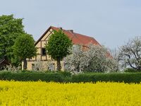 Wohnung Groppler Bild 1