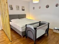 MD-Homes - Magdeburg - Zentrum - 6+ hochwertige Apartments Bild 7