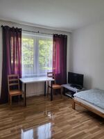 **** Hometime24 - Frisch renovierte Wohnung in Gelsenkirchen Bild 7