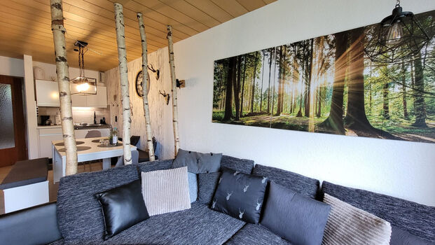 Harz-Hütte - schnuckelige FeWo mit Balkon und Gartenblick Obrázok 3