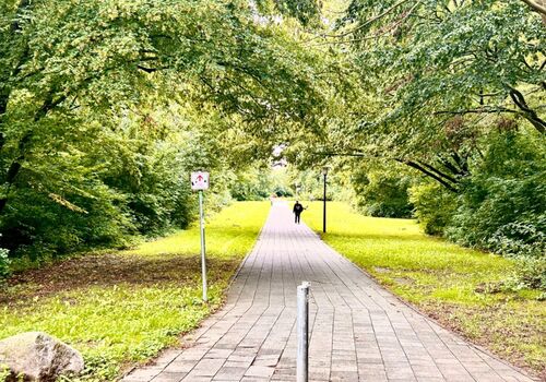 Fewofly - Wohnungen - Nähe Hamburg City Bild 5