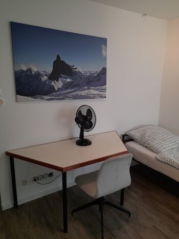 Unterkunft für Monteure in Stuttgart-Bad Cannstatt Obrázok 3
