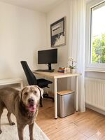 Wohnung Nagler Bild 13