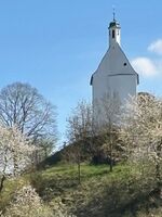 Monteuerwohnung zum Schwalbennest Bild 3