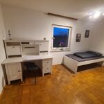 Haus Sulmtal Bild 15