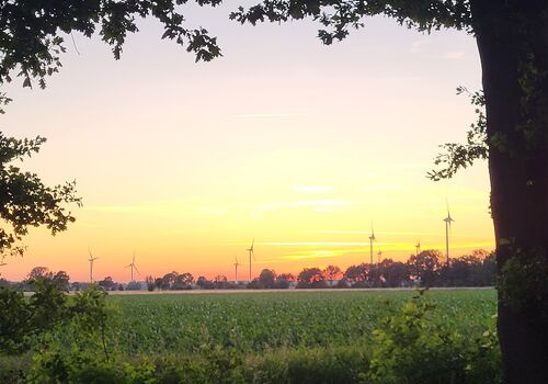 LANDschläfer Obrázok 5