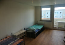 Ferienwohnung Mosel Bild 8