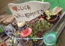 Bauernhof Spieler Bild 5