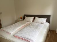 Schöne Erdgeschoss-Whg. 5 Minuten vom Hauptbahnhof Dresden Bild 2