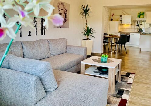 Apartment am Sängerehrenmal Bild 2