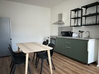 3 moderne Apartments in Wiesbaden Bild 2