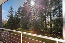 Hillside | Zentrale Lage Bikepark & Piste Bild 15