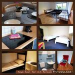 60qm mit 2,5 Zimmern,seperater Küche und Aussenterrasse