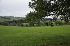 Ferienwohnung Hockertz Bild 9