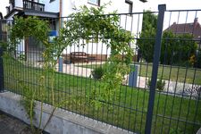 Ferienwohnung Talblick Wilthen Bild 13
