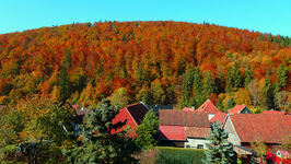 Steinberg im Herbst